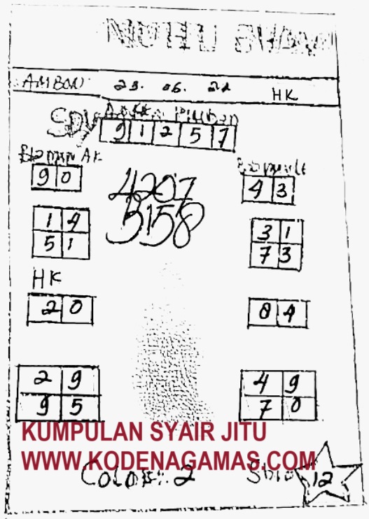 SYAIR SDY VIP